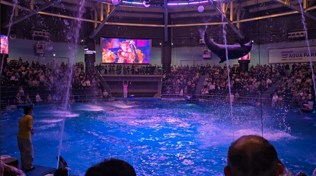 アクアパーク品川　ももクロ　ドルフィンパフォーマンス