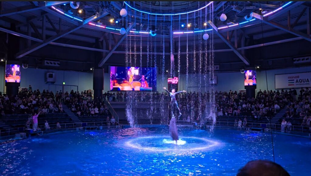 アクアパーク品川　ももクロ　ドルフィンパフォーマンス