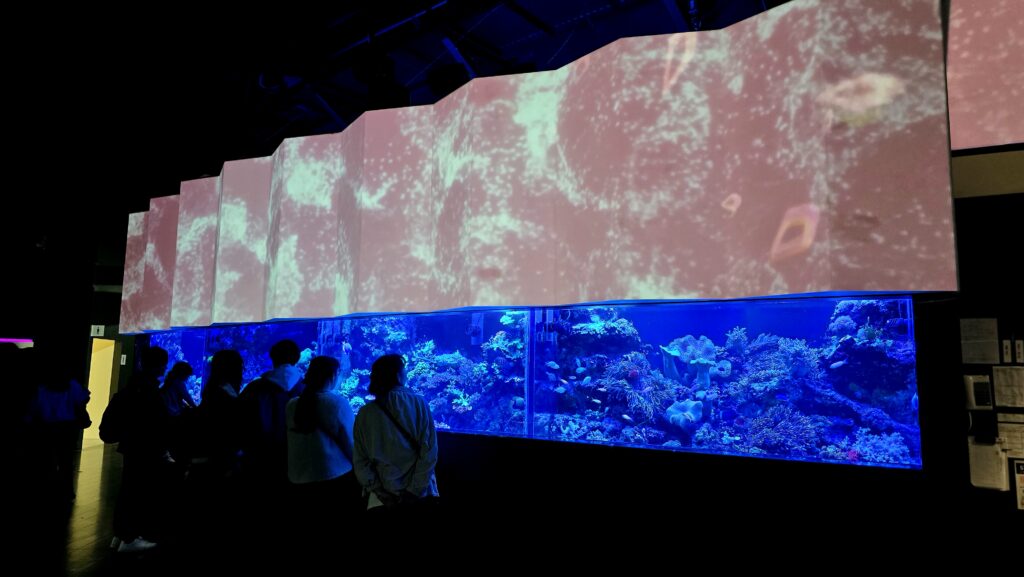 アクアパーク品川　SAKURA AQUARIUM