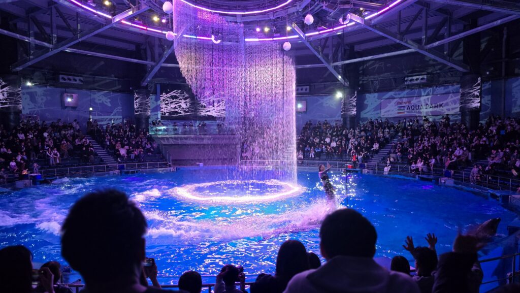 アクアパーク品川　ドルフィンショー　イルカショー　SAKURA AQUARIUM