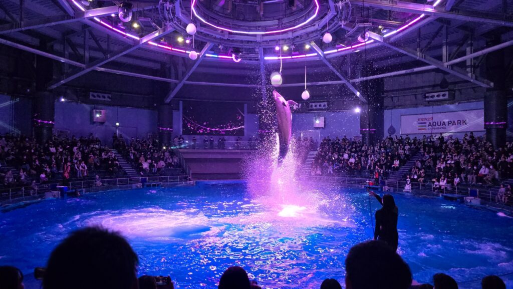 アクアパーク品川　SAKURA AQUARIUM