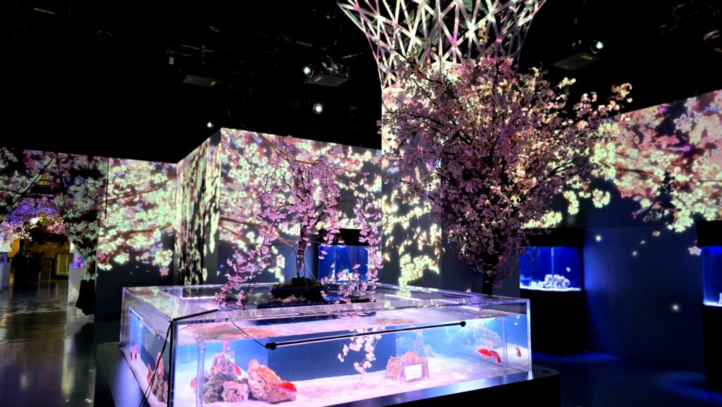 アクアパーク品川　SAKURA AQUARIUM