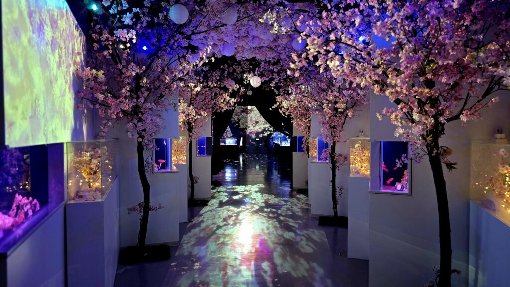 アクアパーク品川　SAKURA AQUARIUM