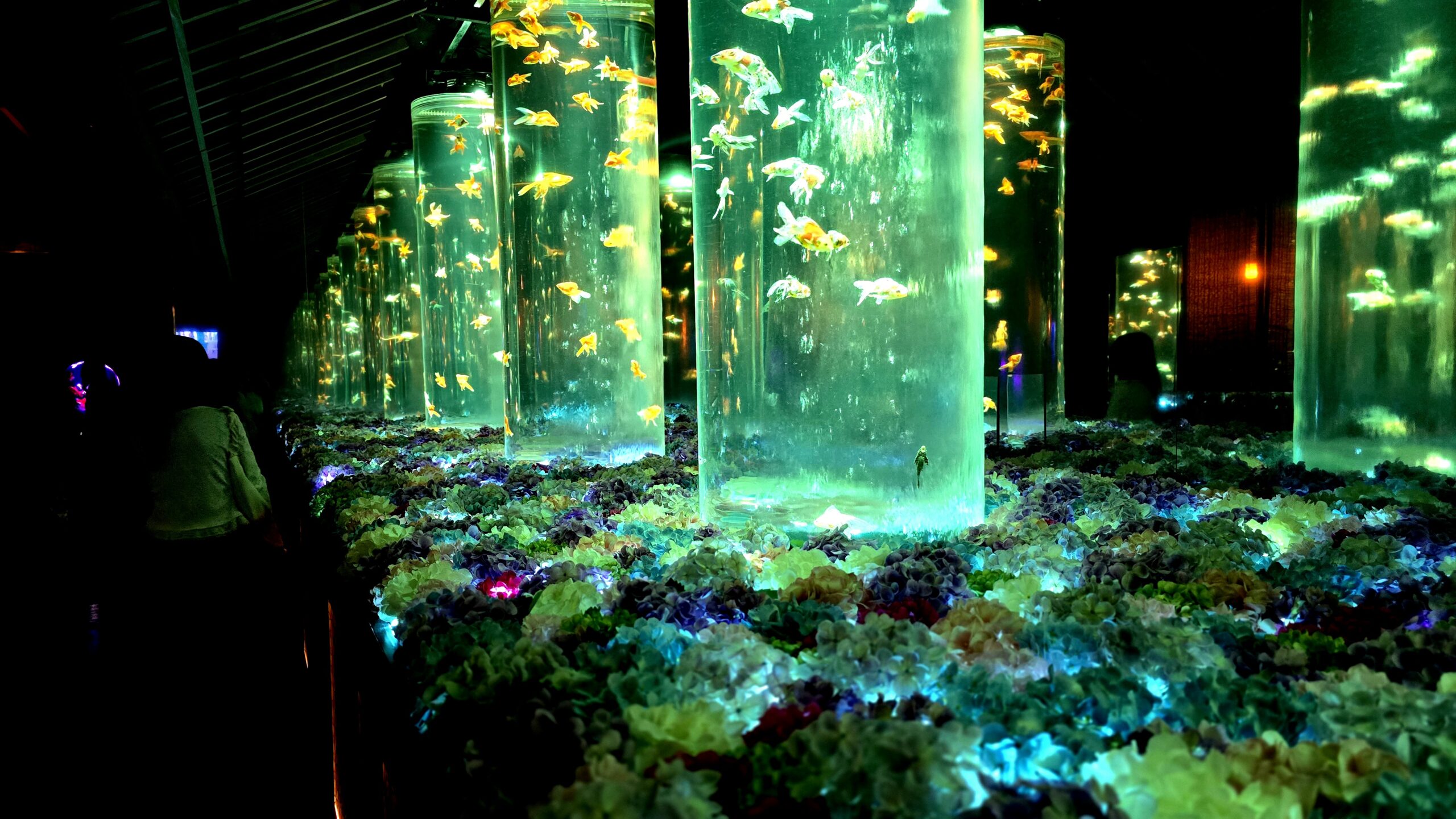 アートアクアリウム美術館 GINZA 金魚の回廊（合わせ鏡）
