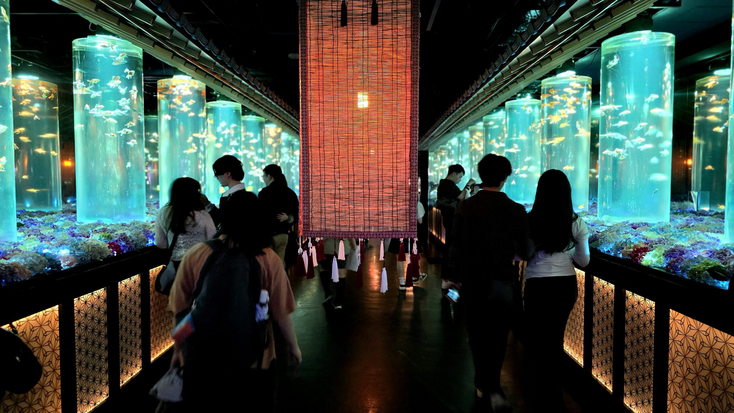 アートアクアリウム美術館 GINZA 回廊で鑑賞する様子