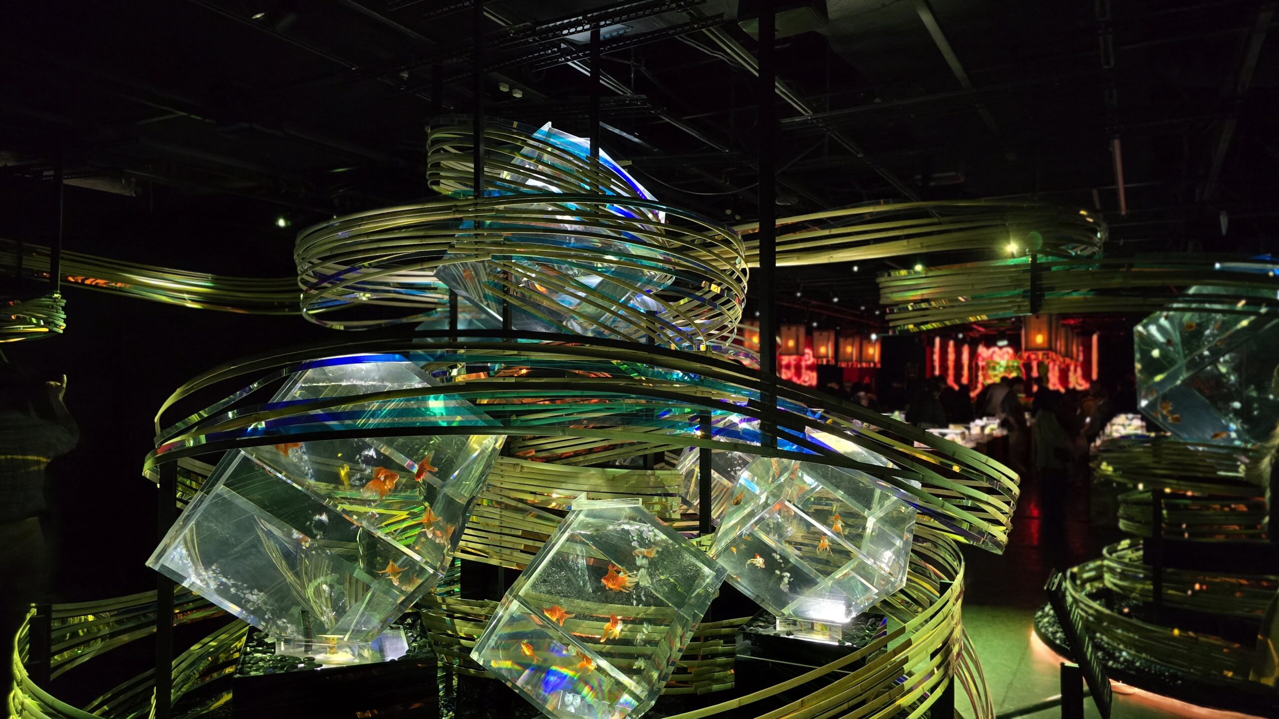アートアクアリウム美術館 GINZA 金魚の石庭