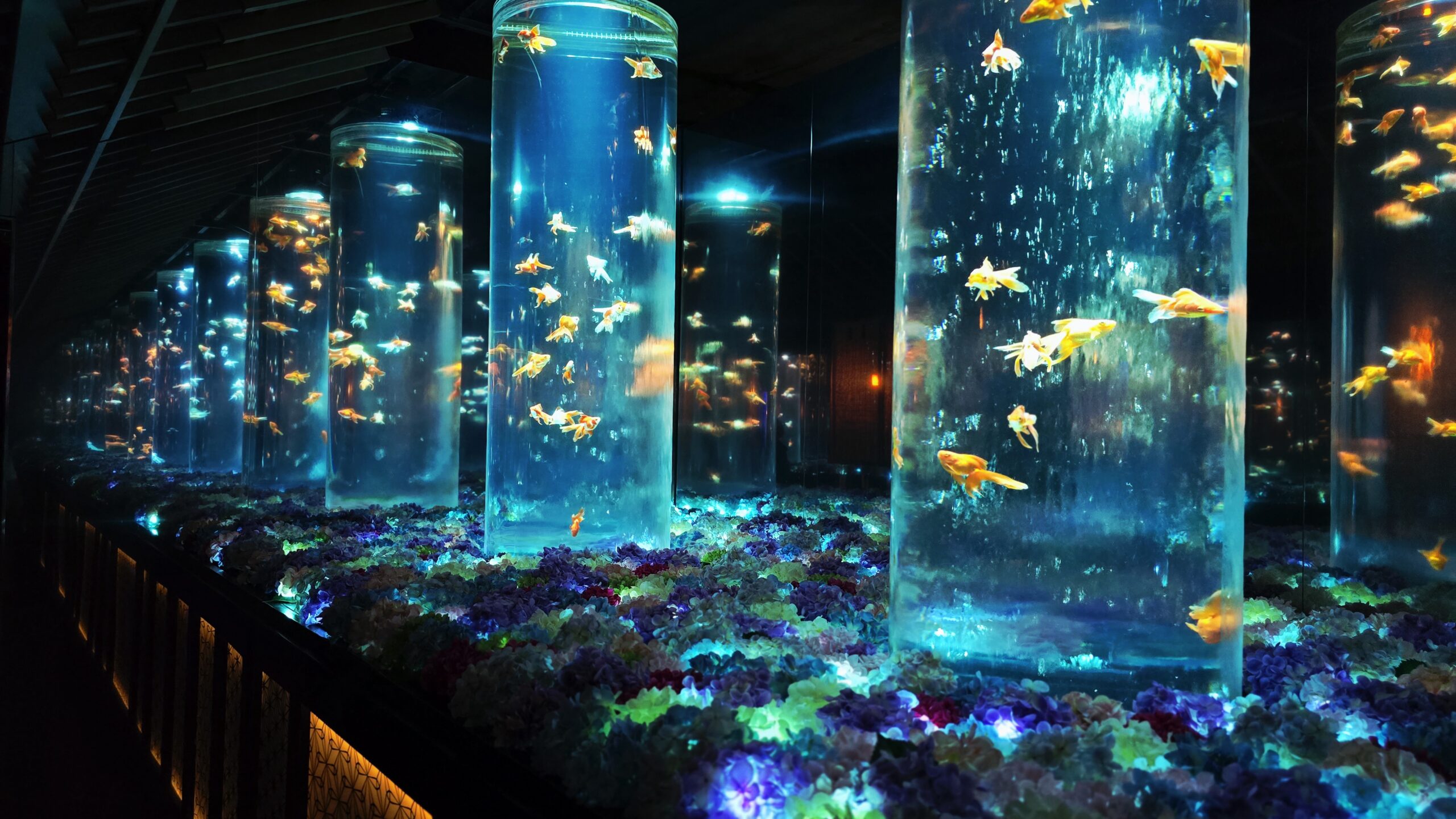 アートアクアリウム美術館 GINZA 回廊のLED照明