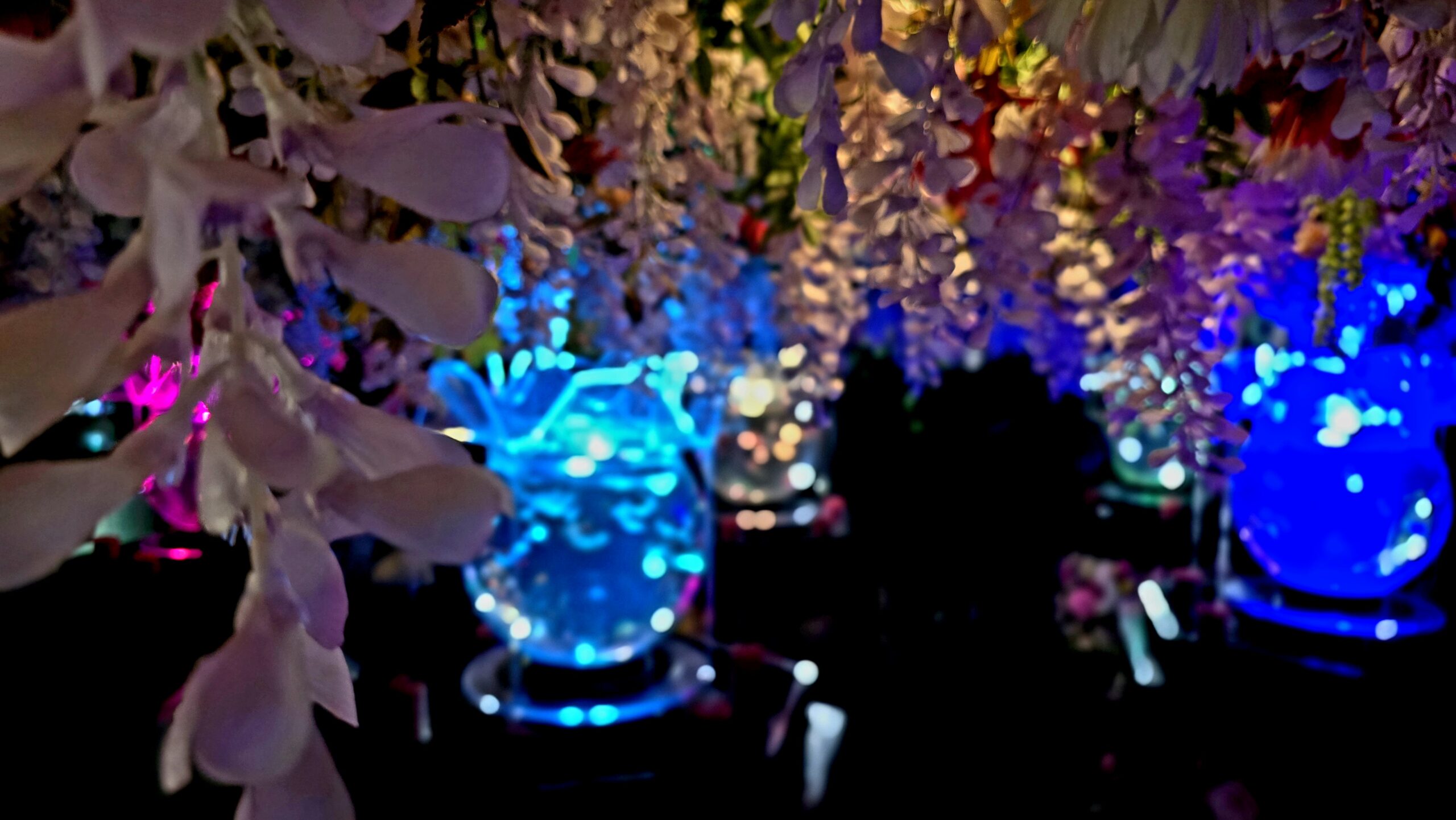 アートアクアリウム美術館 GINZA 花魁花舞