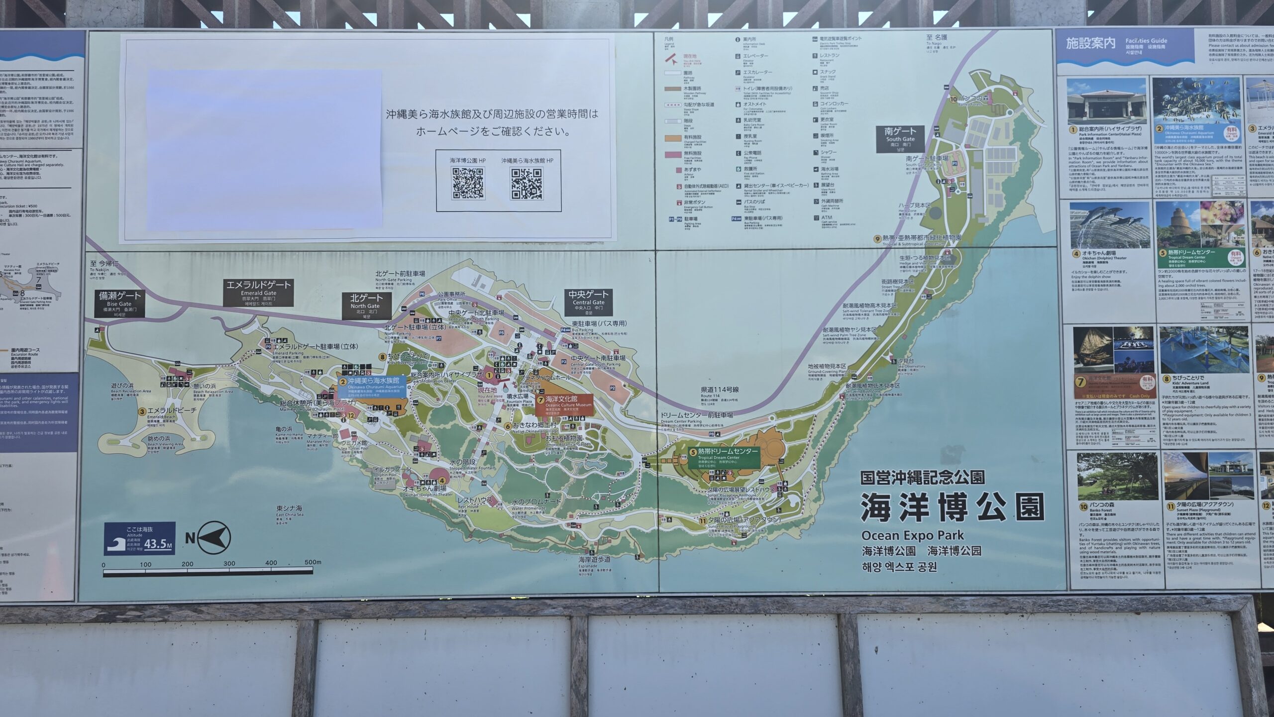 沖縄美ら海水族館 海洋博公園の園内マップ