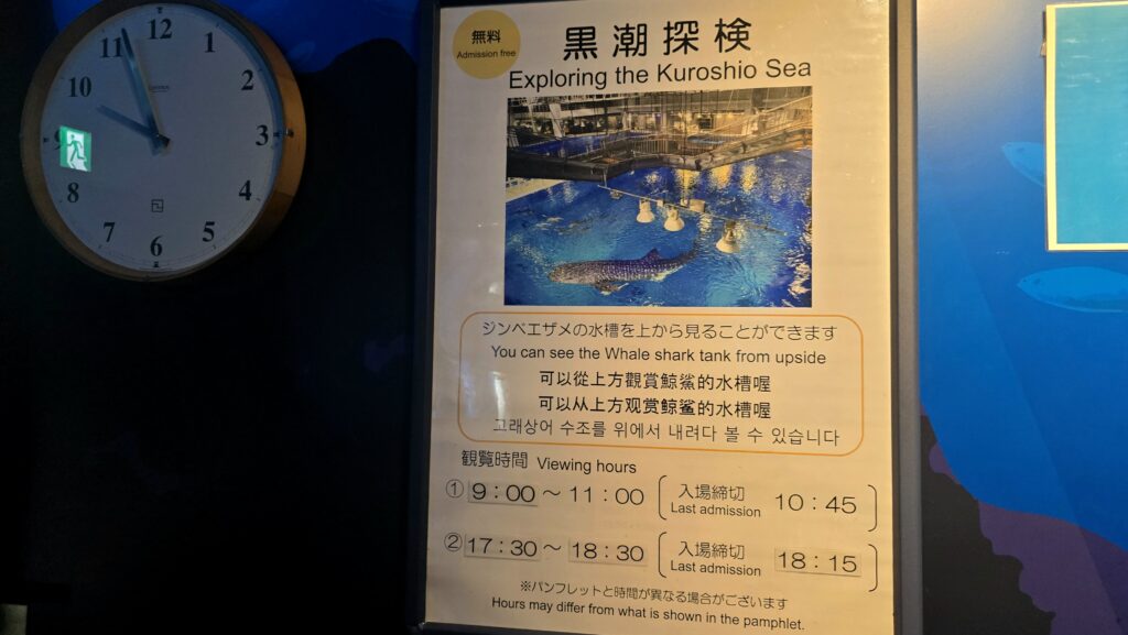 沖縄美ら海水族館 黒潮探検
