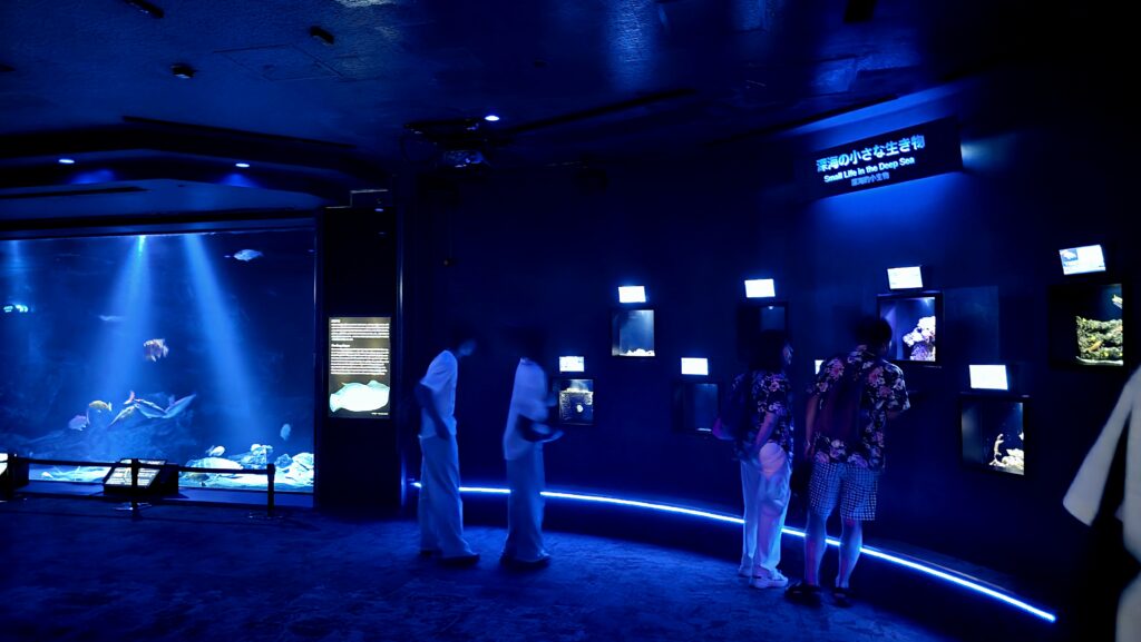 沖縄美ら海水族館 深層の海