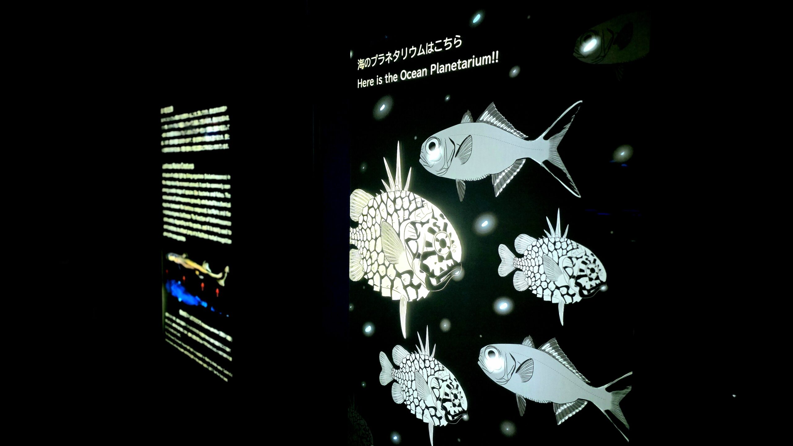 沖縄美ら海水族館 深層の海 海のプラネタリウムの雰囲気