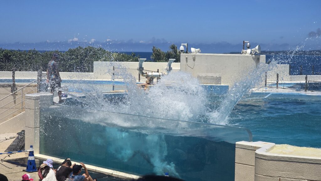 沖縄美ら海水族館 オキちゃん劇場 のびしょ濡れタイム