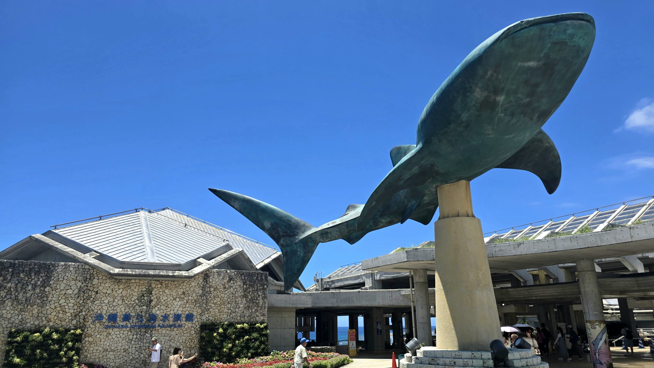 沖縄美ら海水族館 ジンベエザメのモニュメント で記念撮影する様子