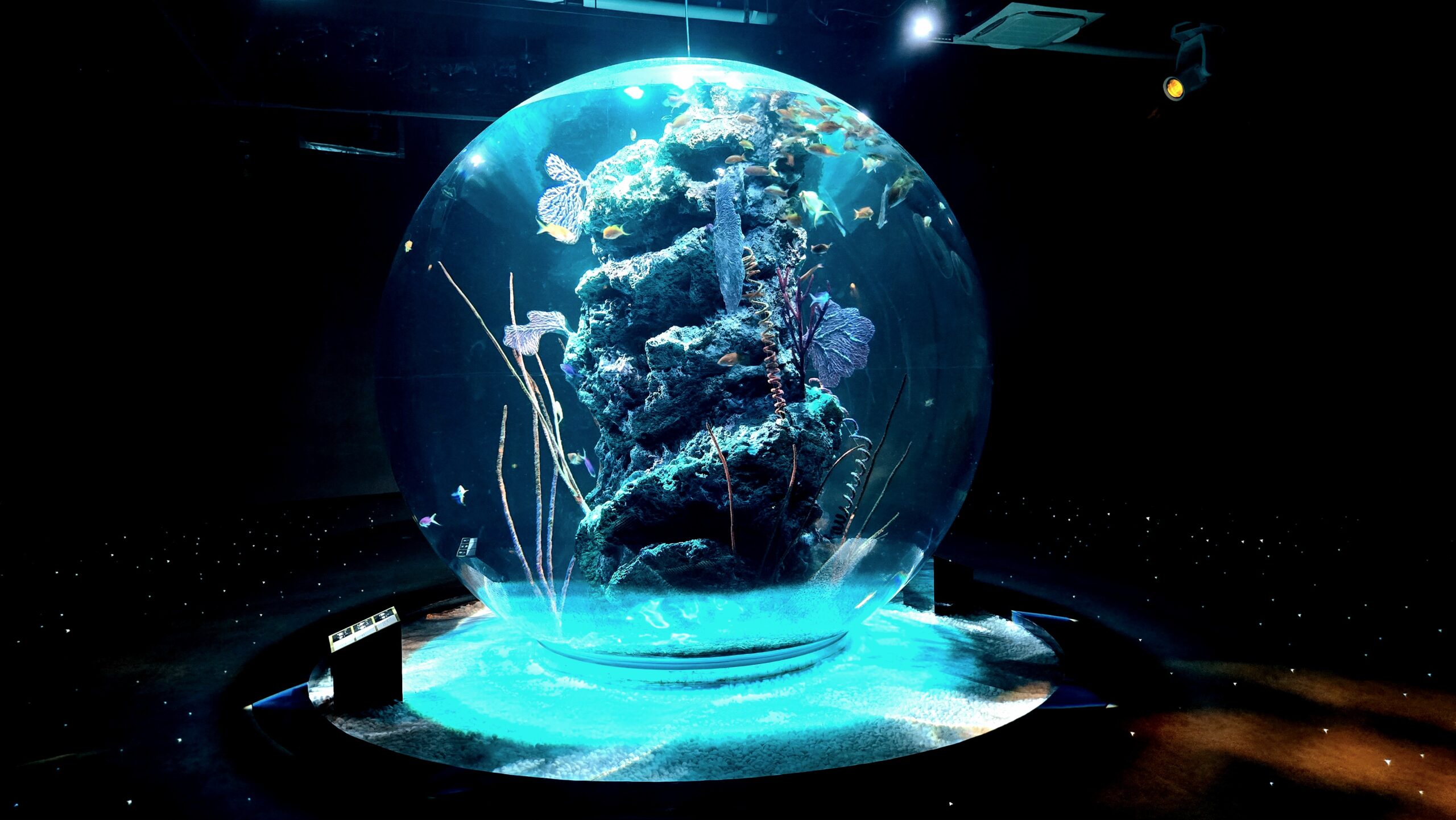 アトア AQUA TERRA の展示