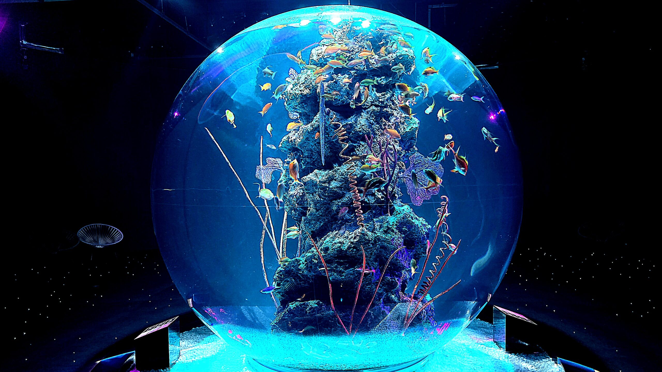 アトア AQUA TERRA のディテール