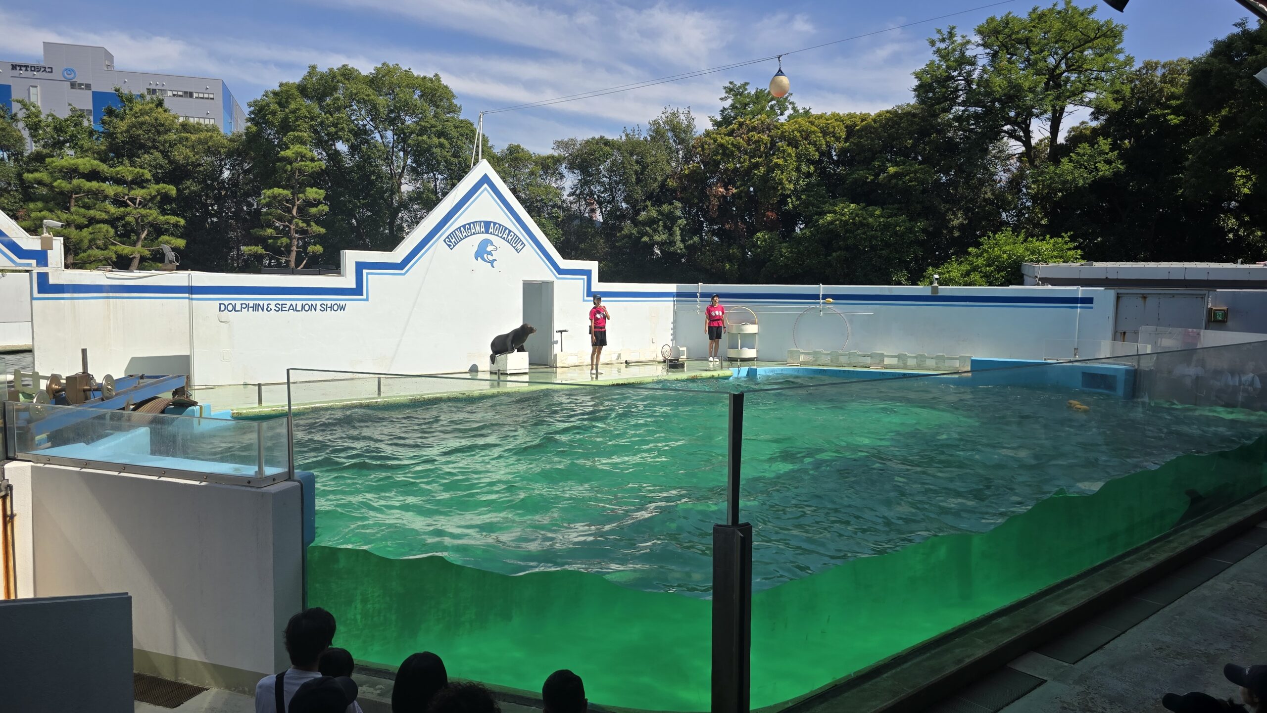 しながわ水族館 イルカ・アシカショーのスタジアム