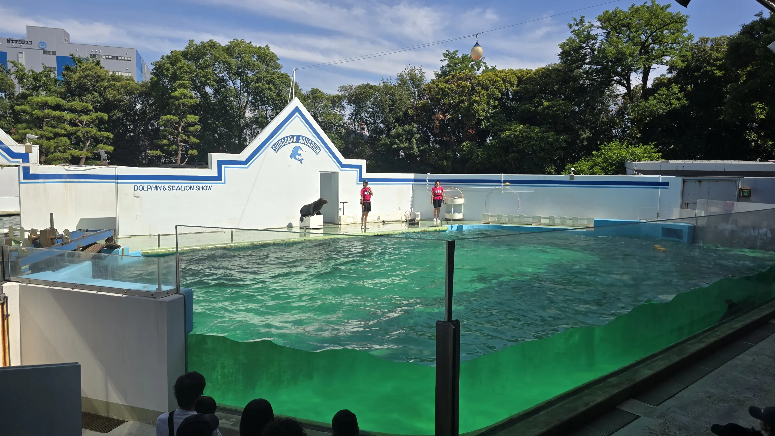しながわ水族館 イルカ・アシカショーのスタジアム