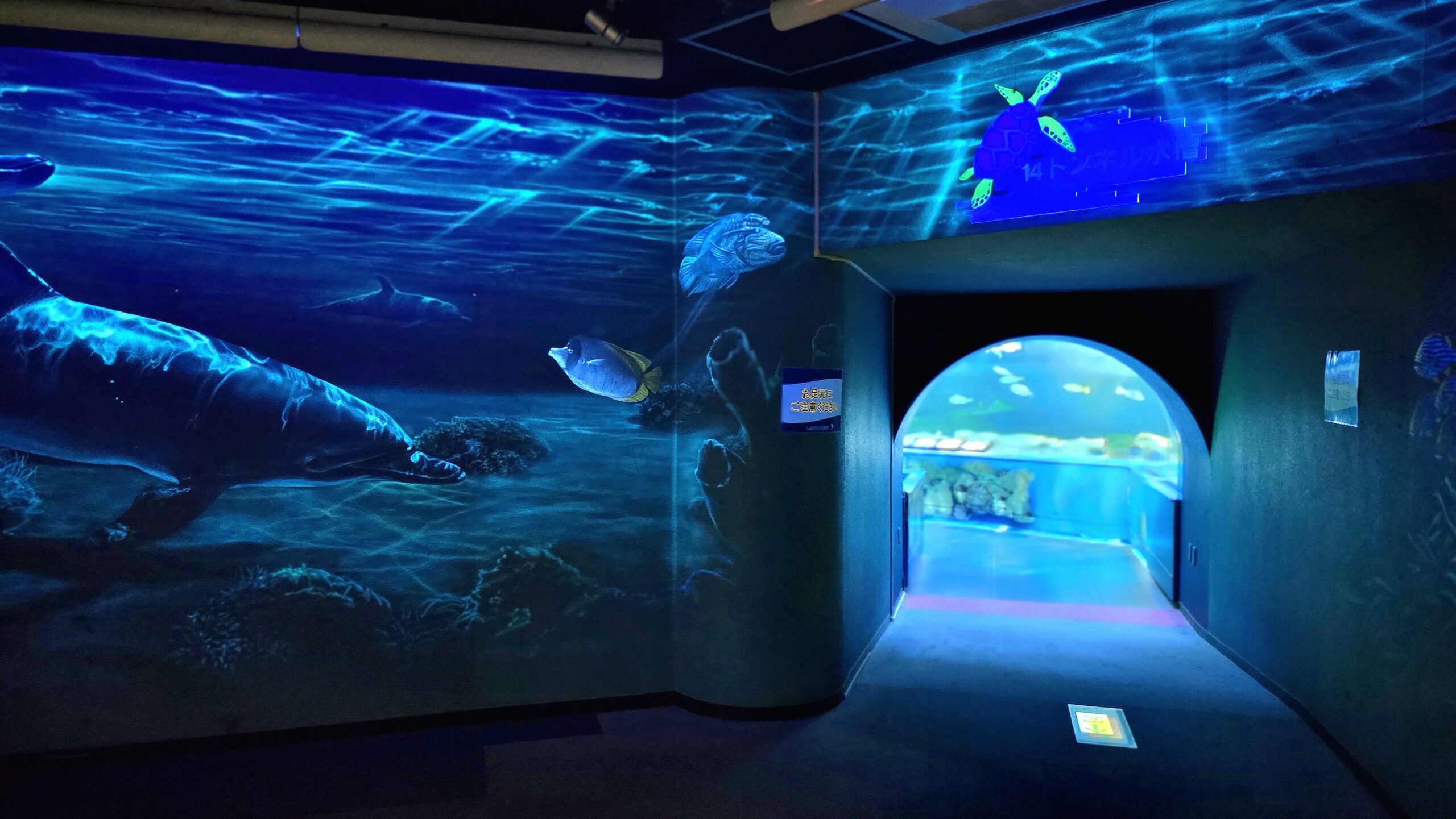しながわ水族館 トンネル水槽の入口