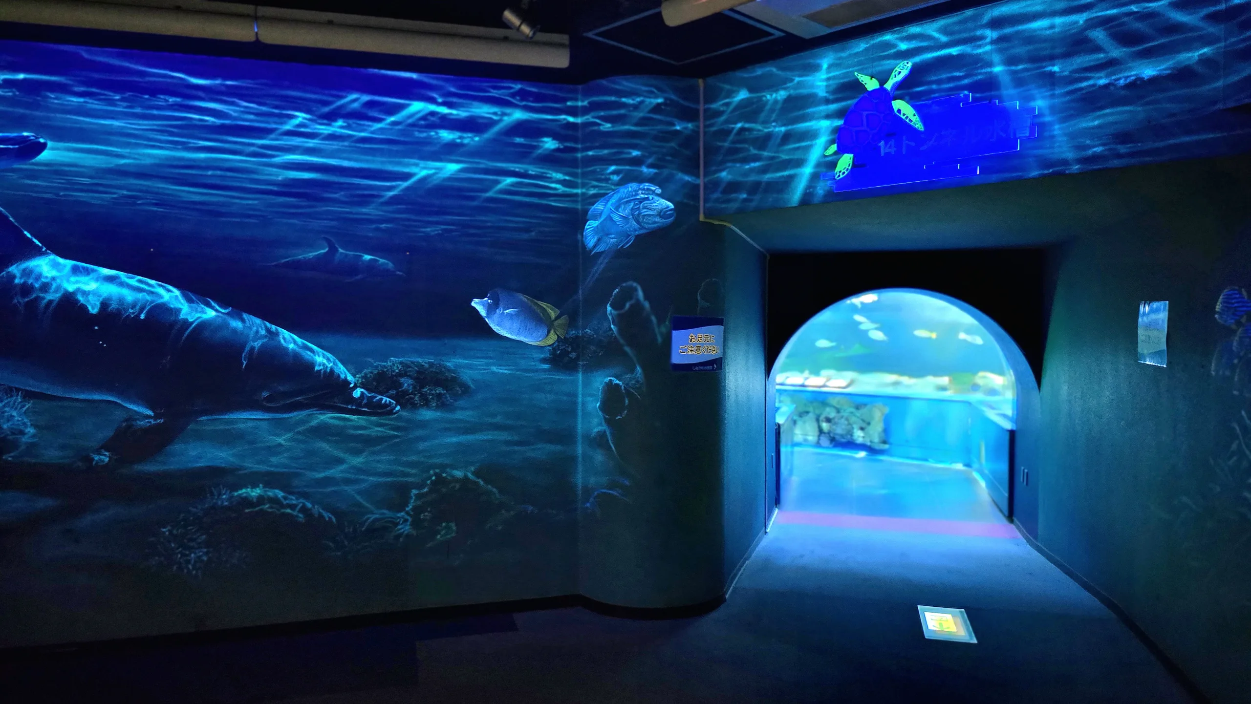 しながわ水族館 トンネル水槽の入口