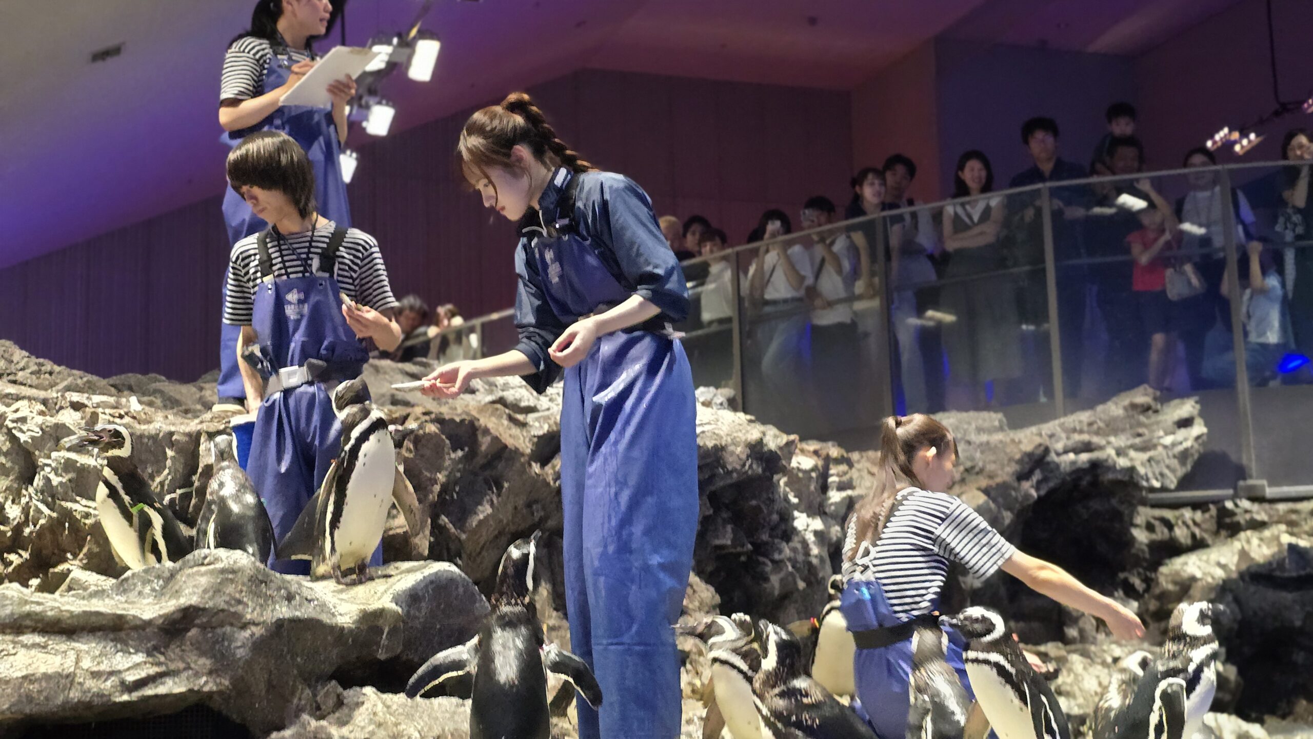すみだ水族館 ペンギンのエサやりタイムに集まる来館者