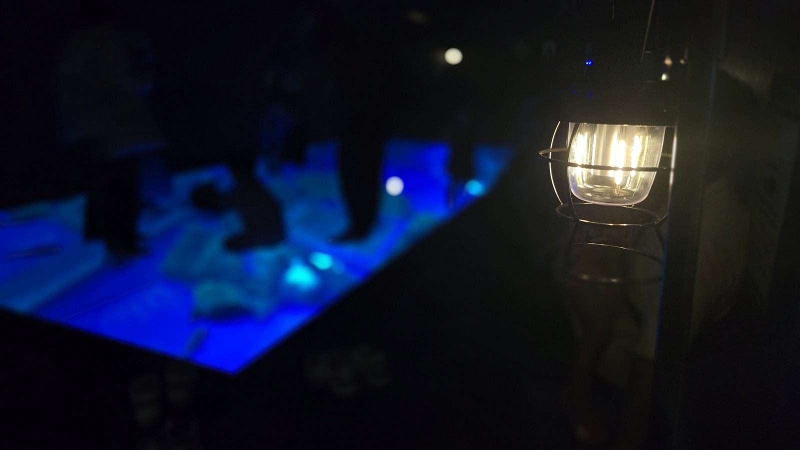 DMMかりゆし水族館 ちゅらみなものガラス床