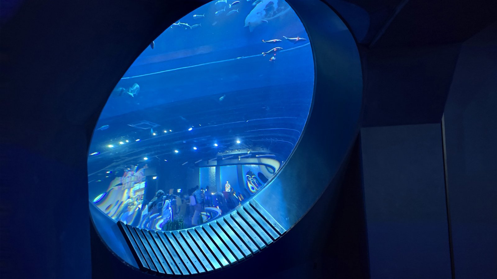 DMMかりゆし水族館 うちなー大水槽の円形の窓