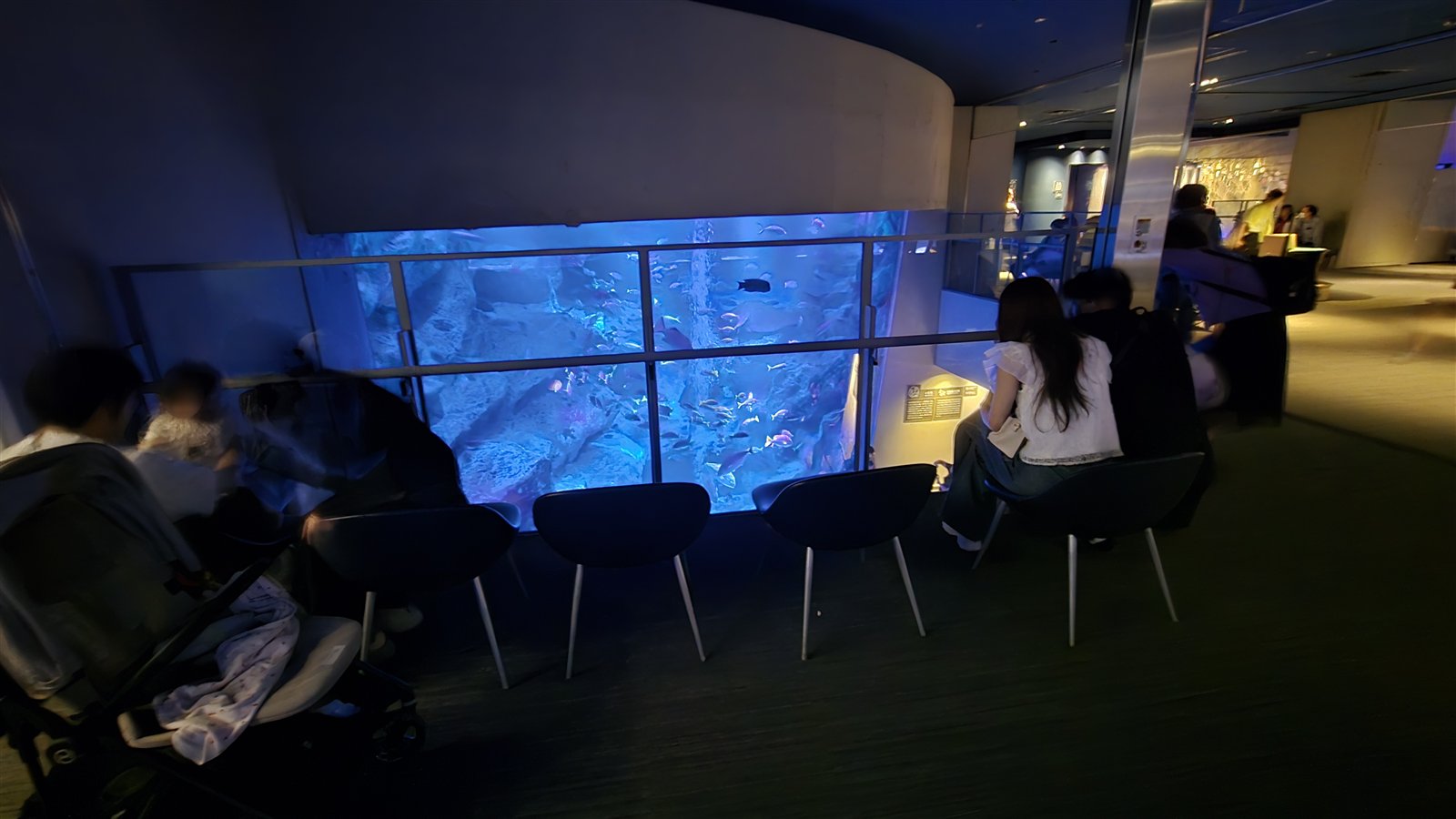 すみだ水族館 6F小笠原大水槽前のチェア席