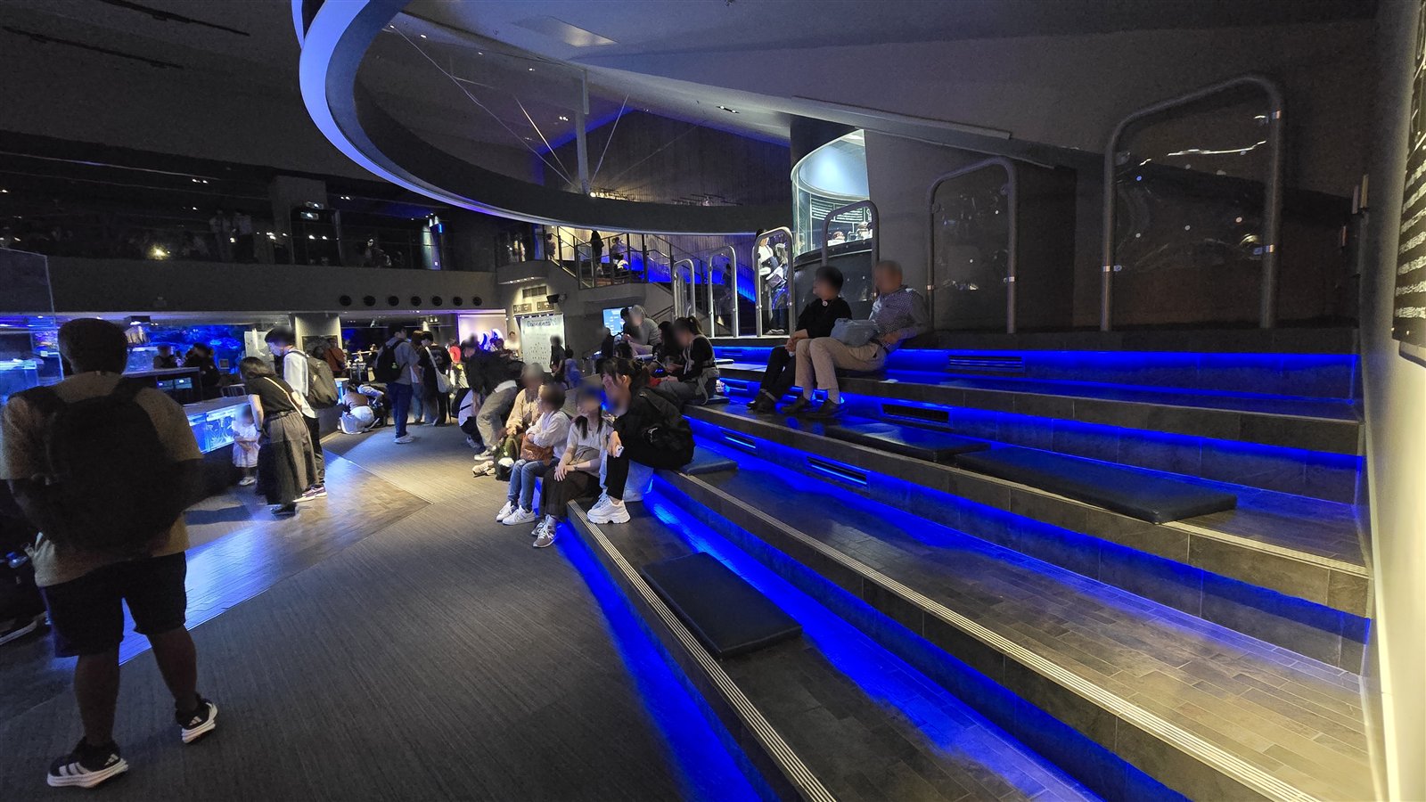 すみだ水族館 アクアベースの階段状のシート