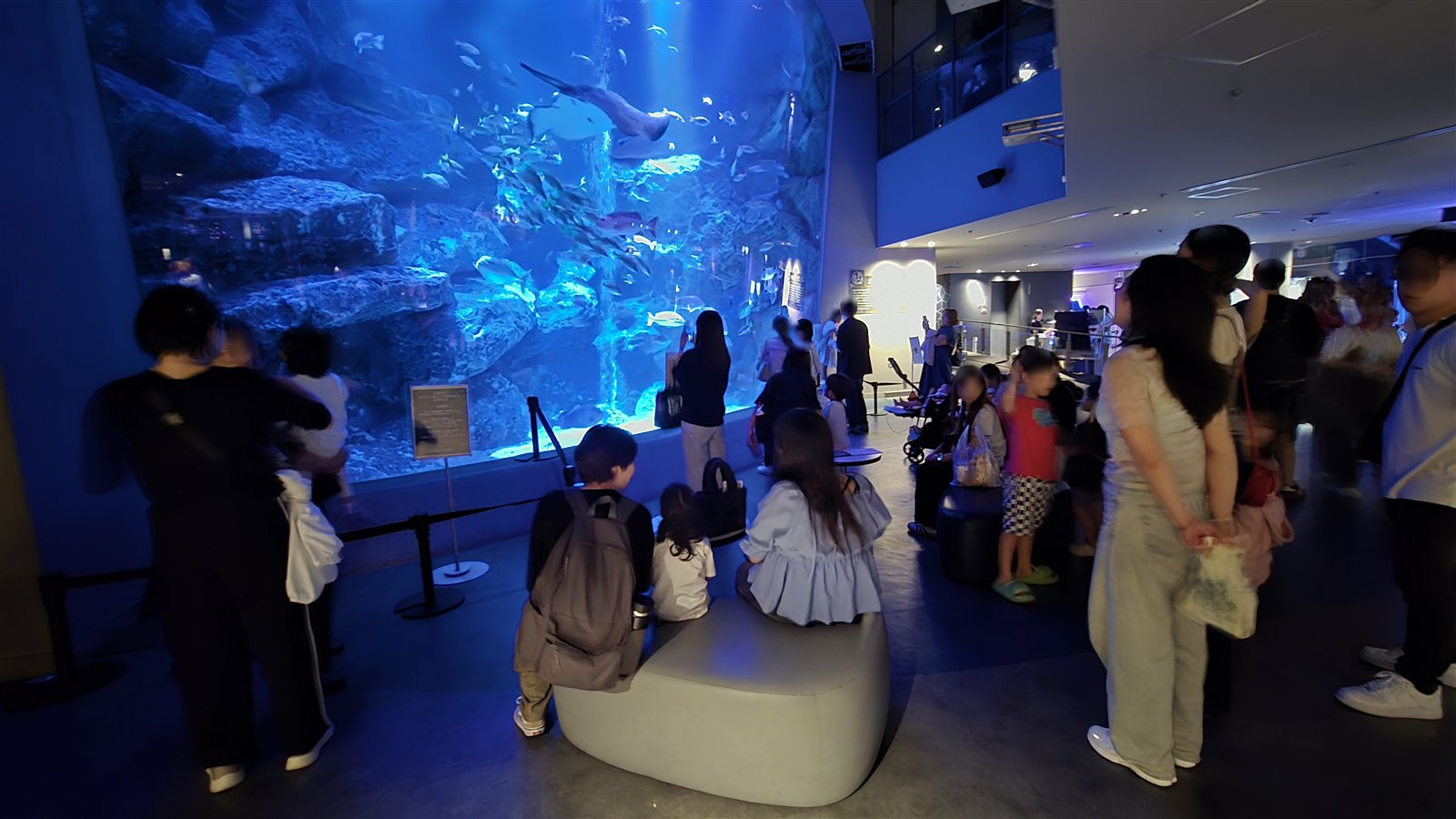 すみだ水族館 5F小笠原大水槽前の席