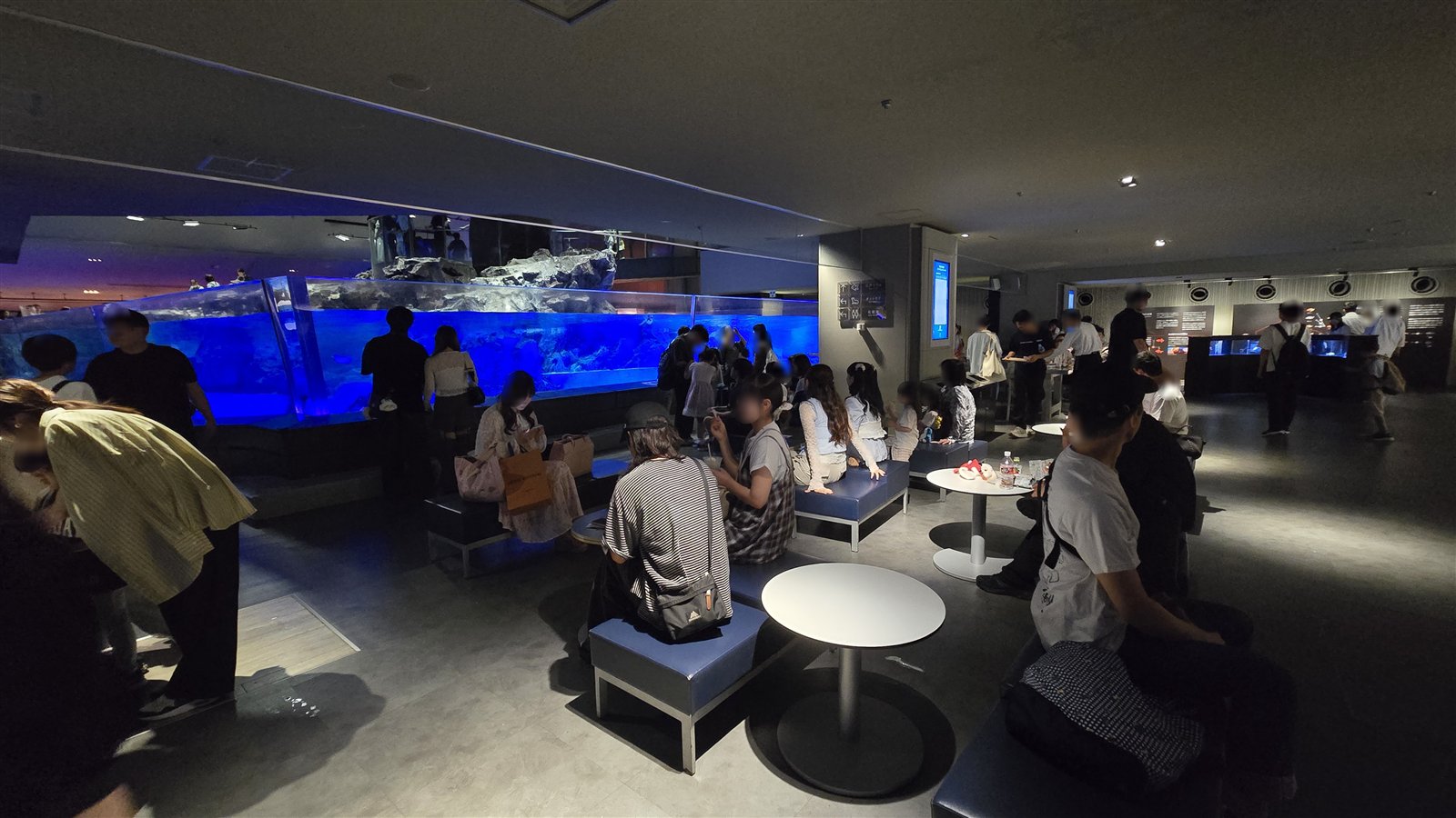 すみだ水族館 ペンギン水槽前のベンチとテーブル