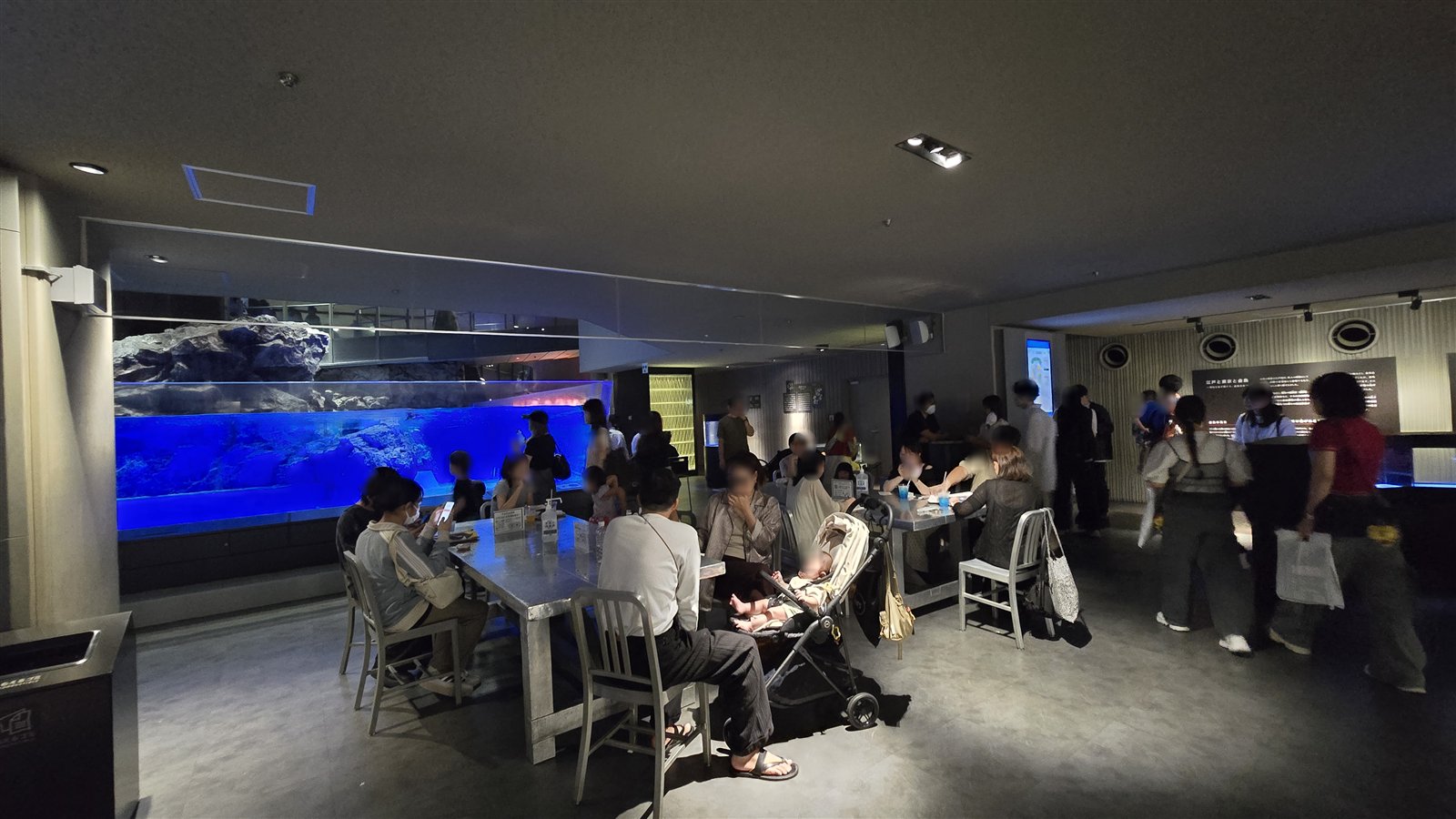 すみだ水族館 カフェエリアのテーブル席