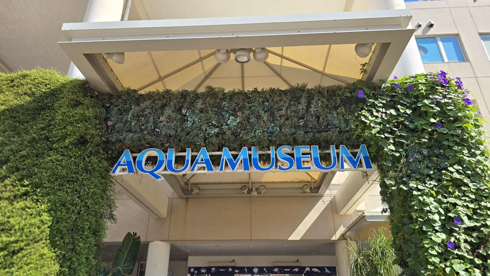 横浜・八景島シーパラダイス アクアミュージアムの入口