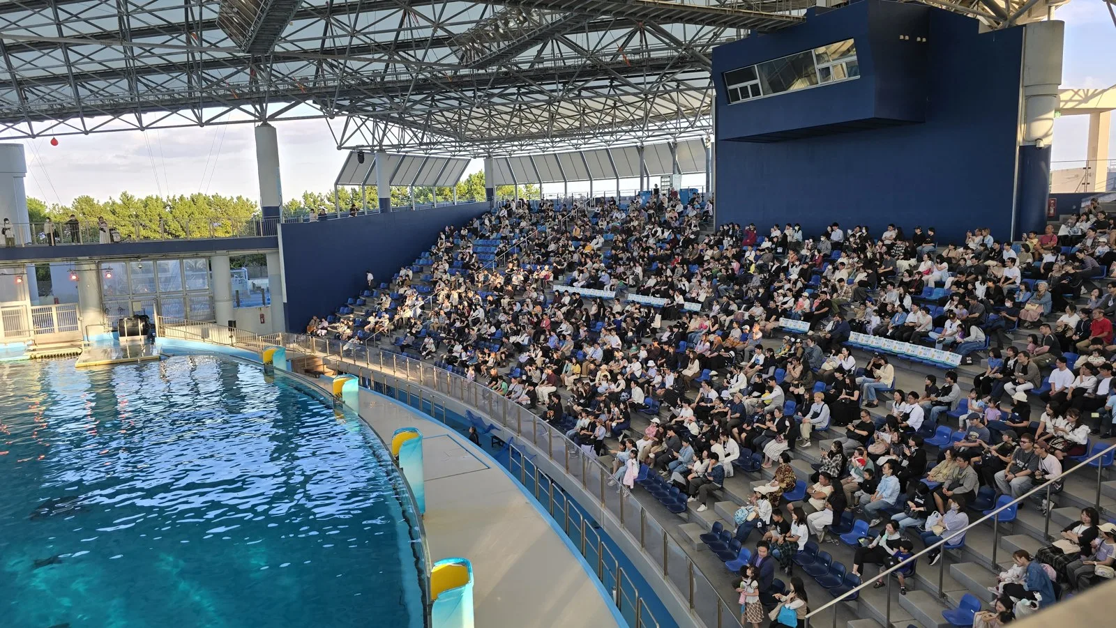 横浜・八景島シーパラダイス ほぼ満席のライブスタジアムと有料観覧席の列