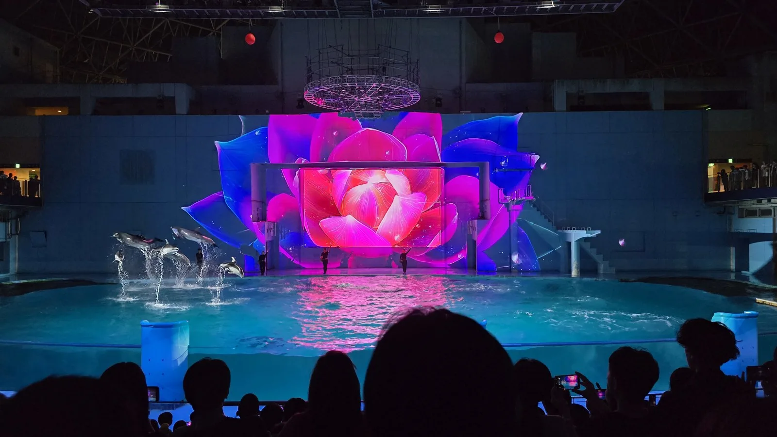 横浜・八景島シーパラダイス 夜の LIGHTIA の花の映像とジャンプ